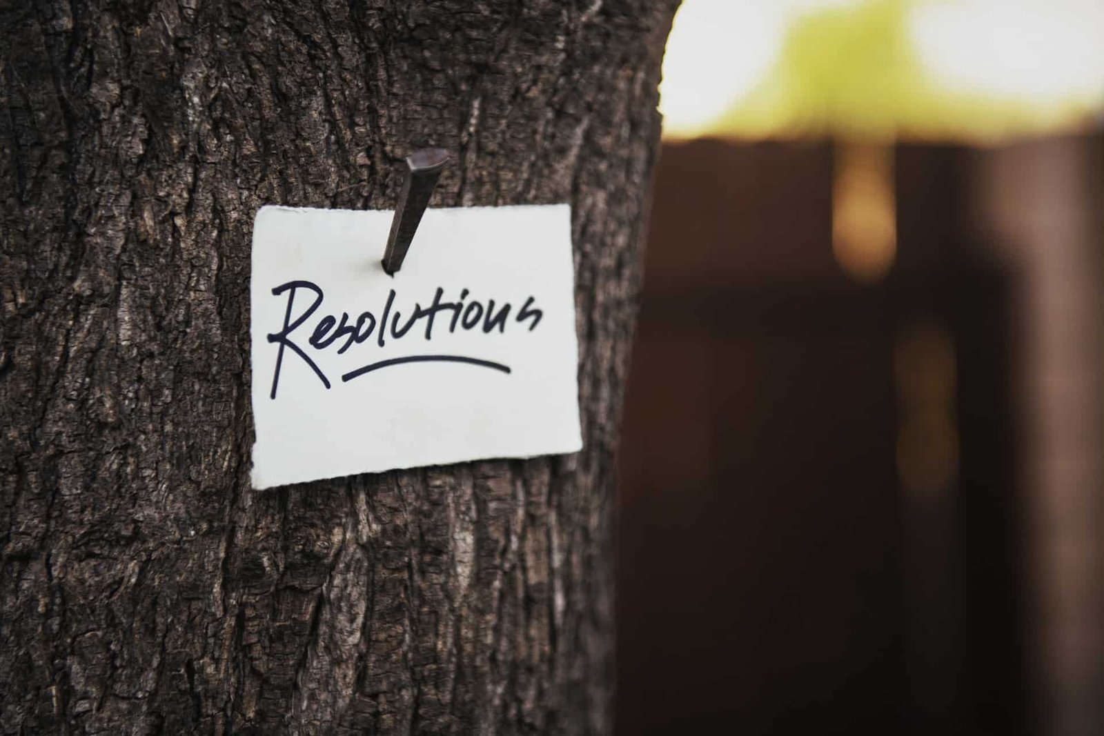 Three Resolutions For A Successful Lifestyle This Year | CIAM