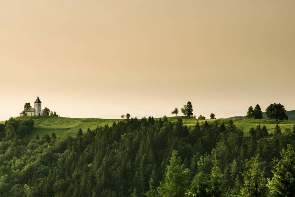 CIAM - The ultimate promoter