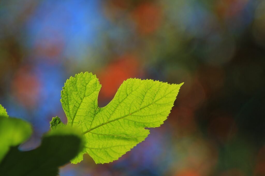 CIAM - God never forgets